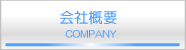 ЊTv